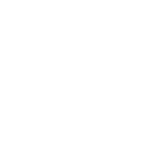 prompt